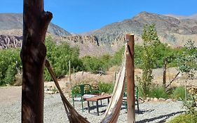 Cactus y Almacen - Purmamarca